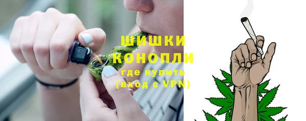 гашик Покровск