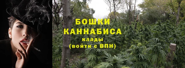 крисы Покачи